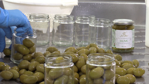 Olive Bella di Cerignola 3G in vaso da 580 gr